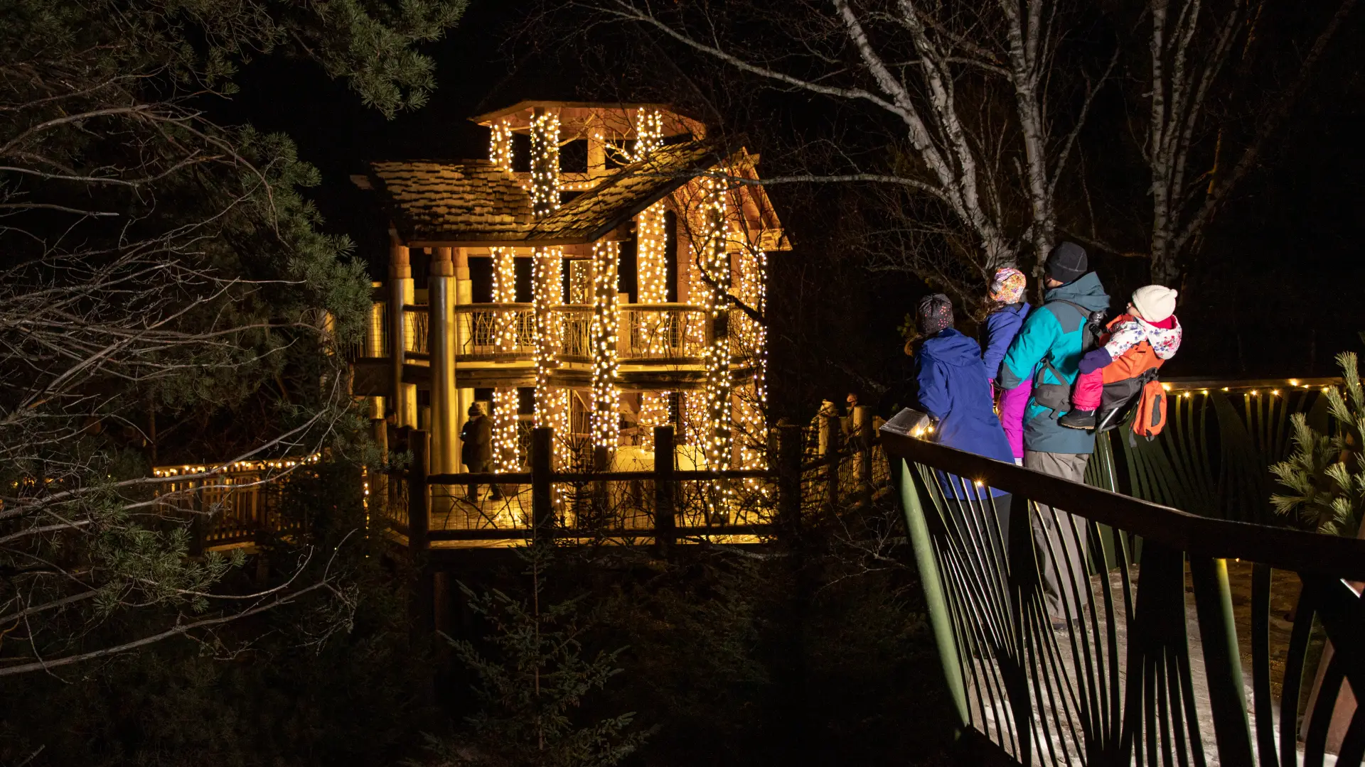 A group of people enjoying the outdoor winter exhibit, Wild Lights
