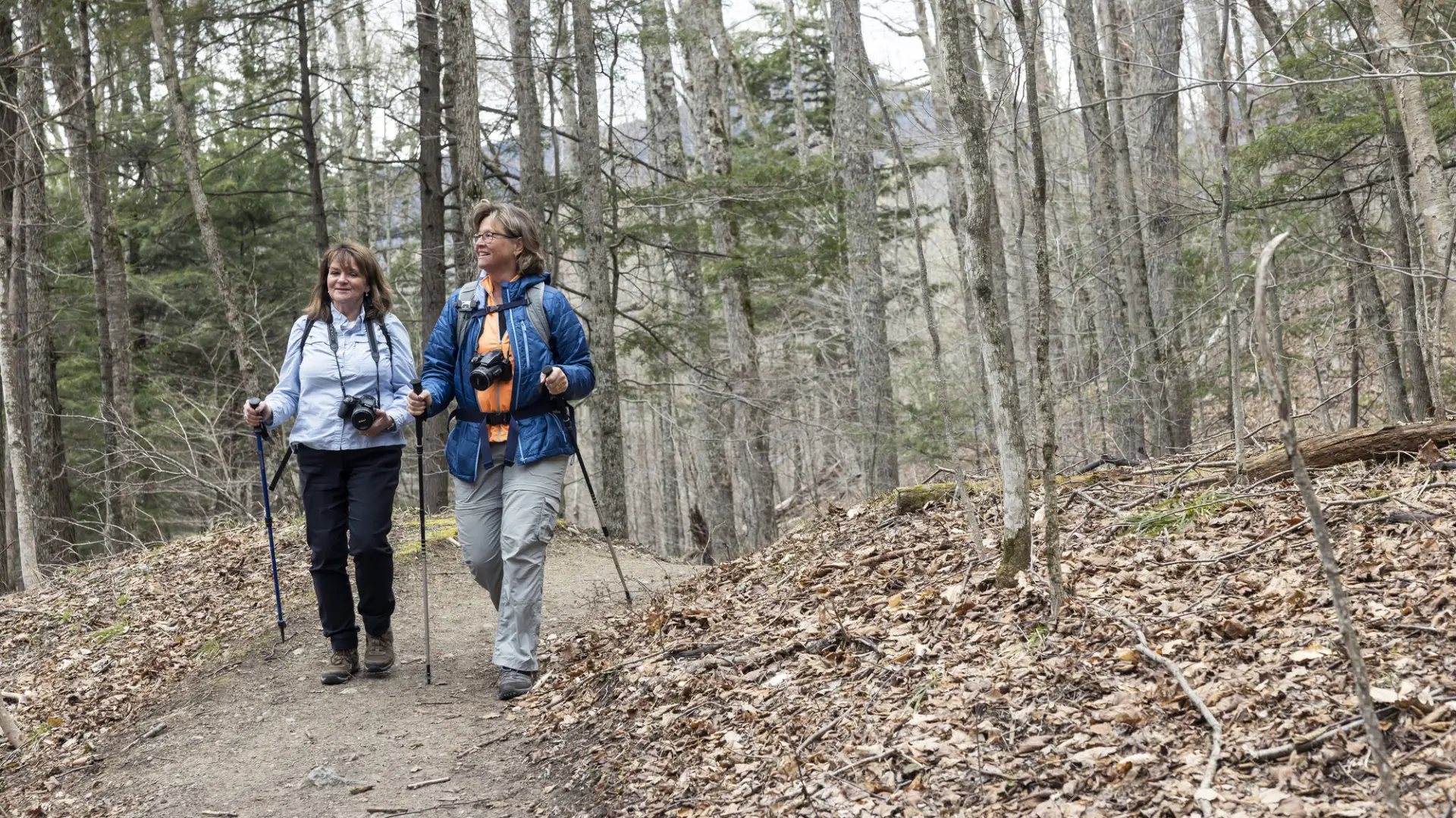 Two woman hike a flat trail in the woods