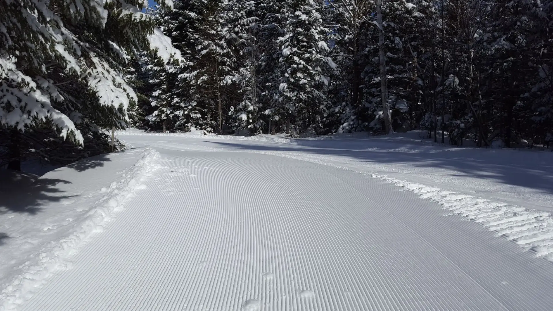 Perfect conditions!