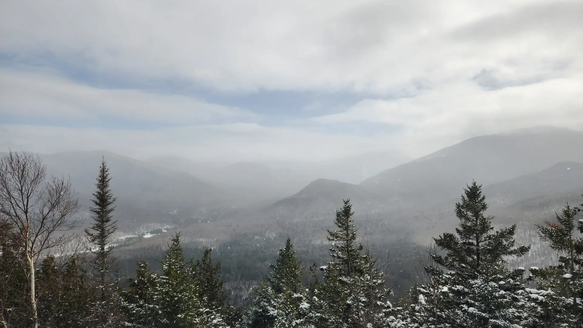 A snow-covered mountain vista, featuring evergreen trees dusted with snow in the foreground.