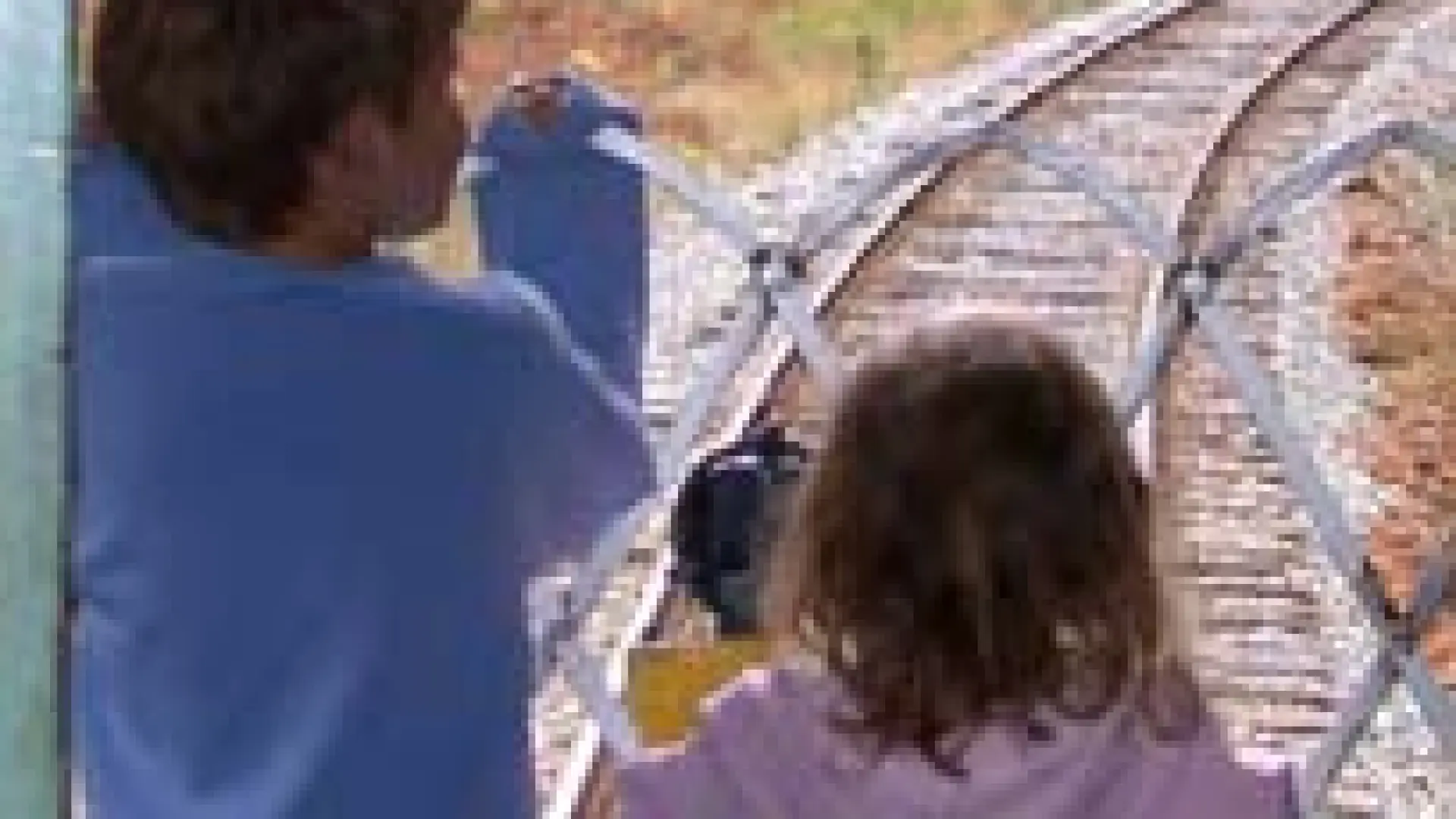 kids on Scenic Railroad