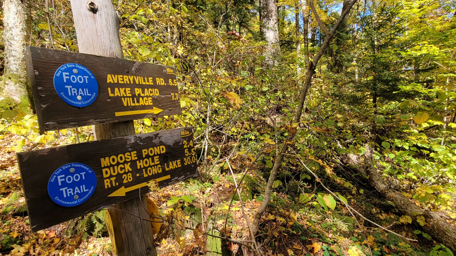 A wooden trail sign with yellow lettering