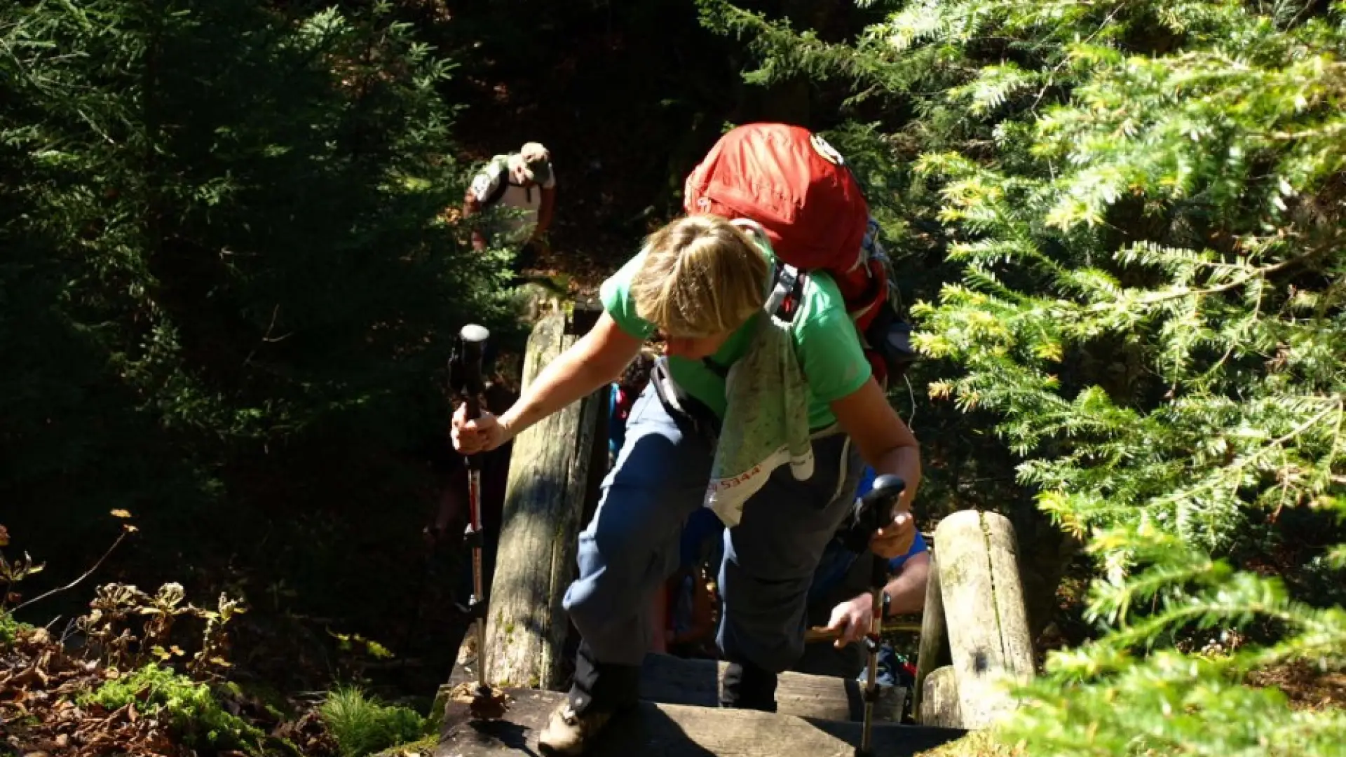 Trail builders have built in some help for this challenging traverse.