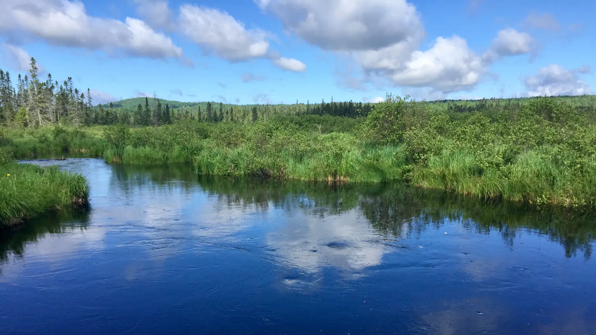 Bloomingdale Bog Trail is an old railroad access converted to a multi-use Adirondack trail.