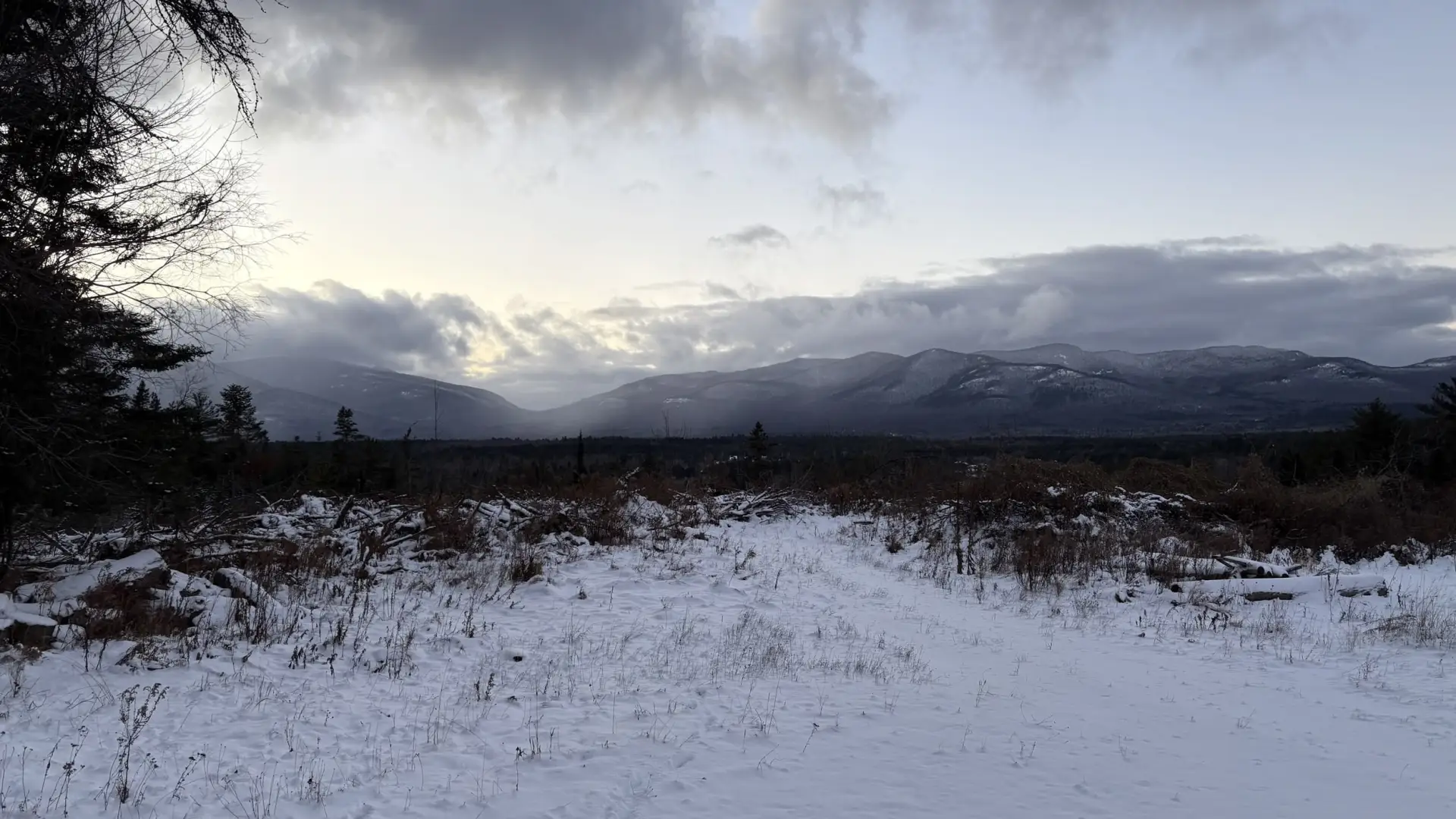 the high peaks stun from the wintery field