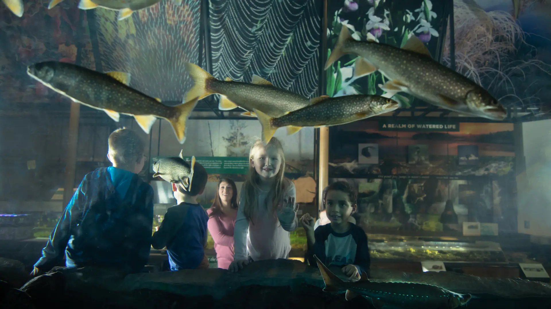 Kids look at fish in an aquarium tank