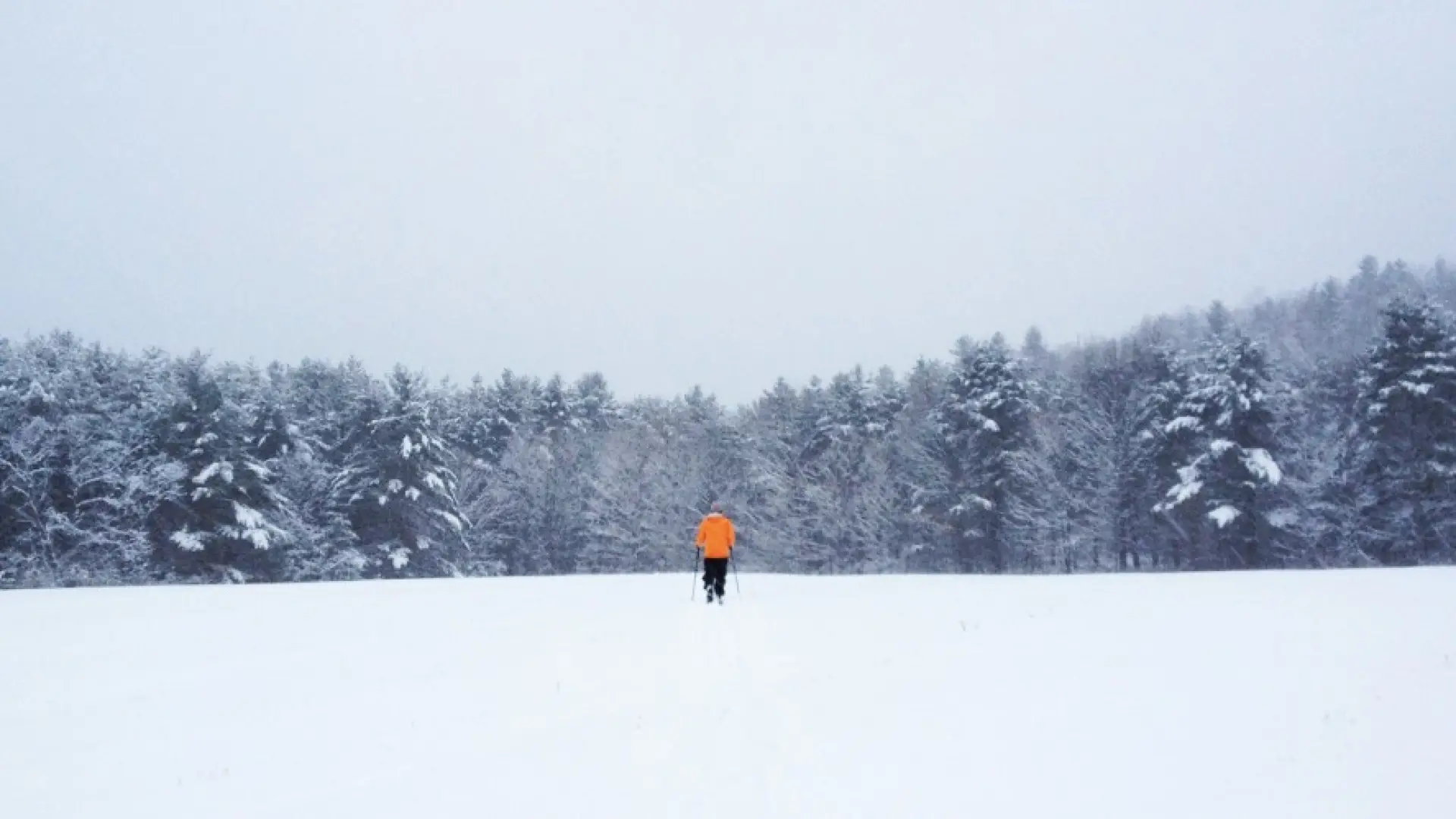 ski backyard