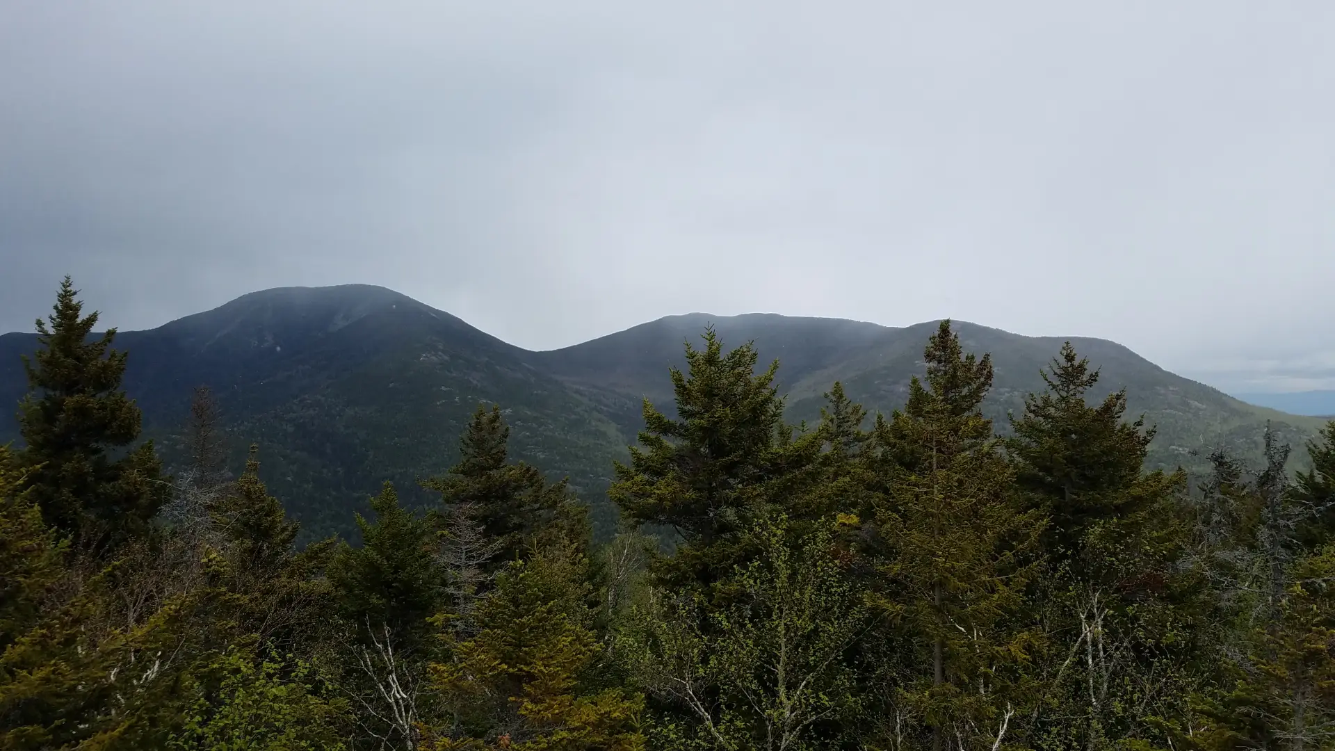 The view of a couple mountains over some trees