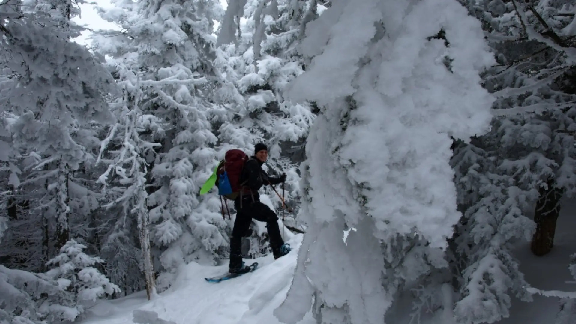 Snowshoeing