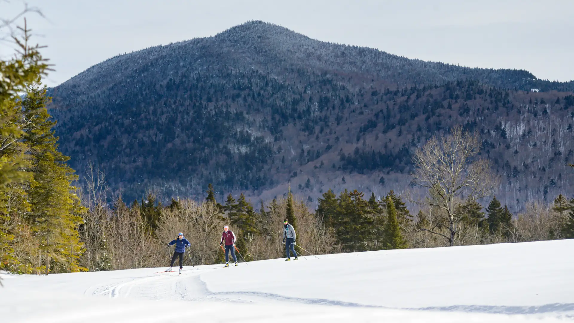 Cross-country skiers glide across snow with an Adirondack peak behind them.
