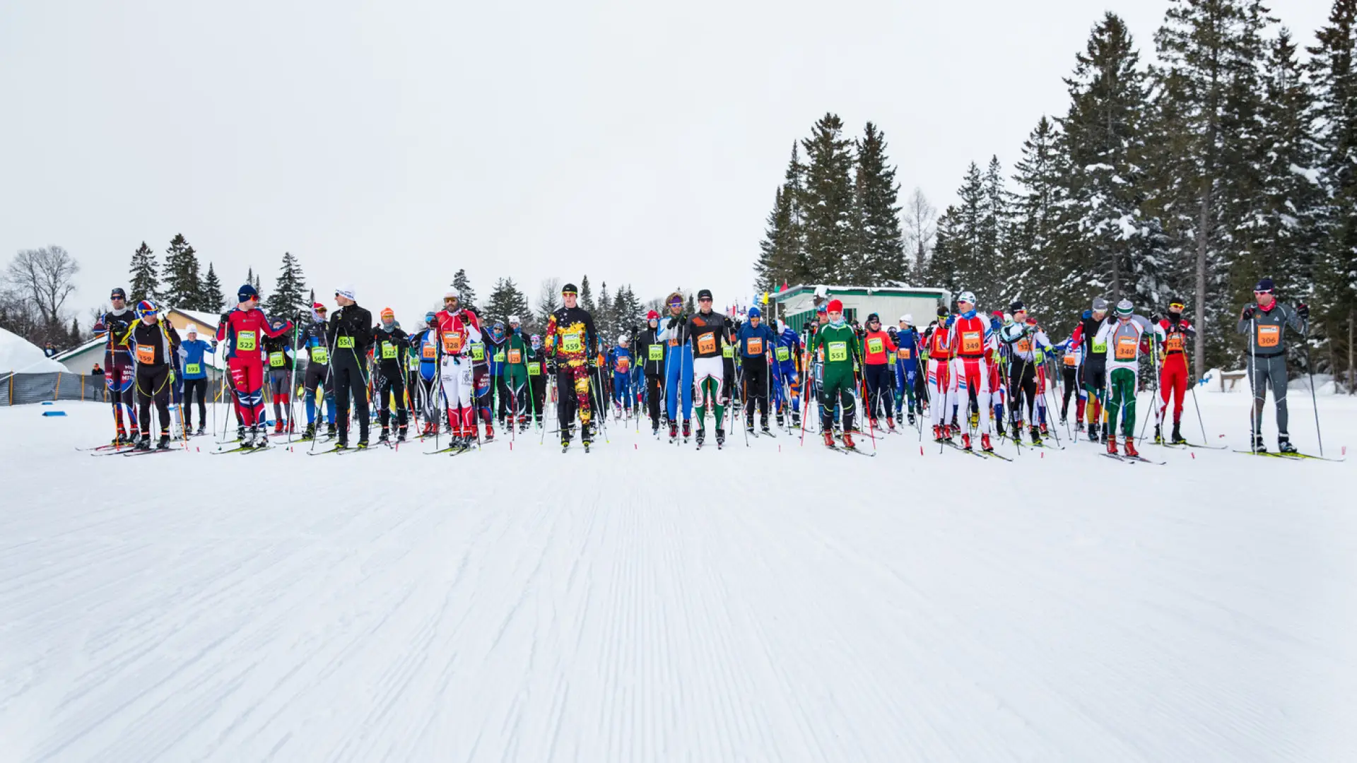 Lake Placid Loppet nordic ski racers lined up at the start of the race on a wide open snowy trail with some pine trees in the background