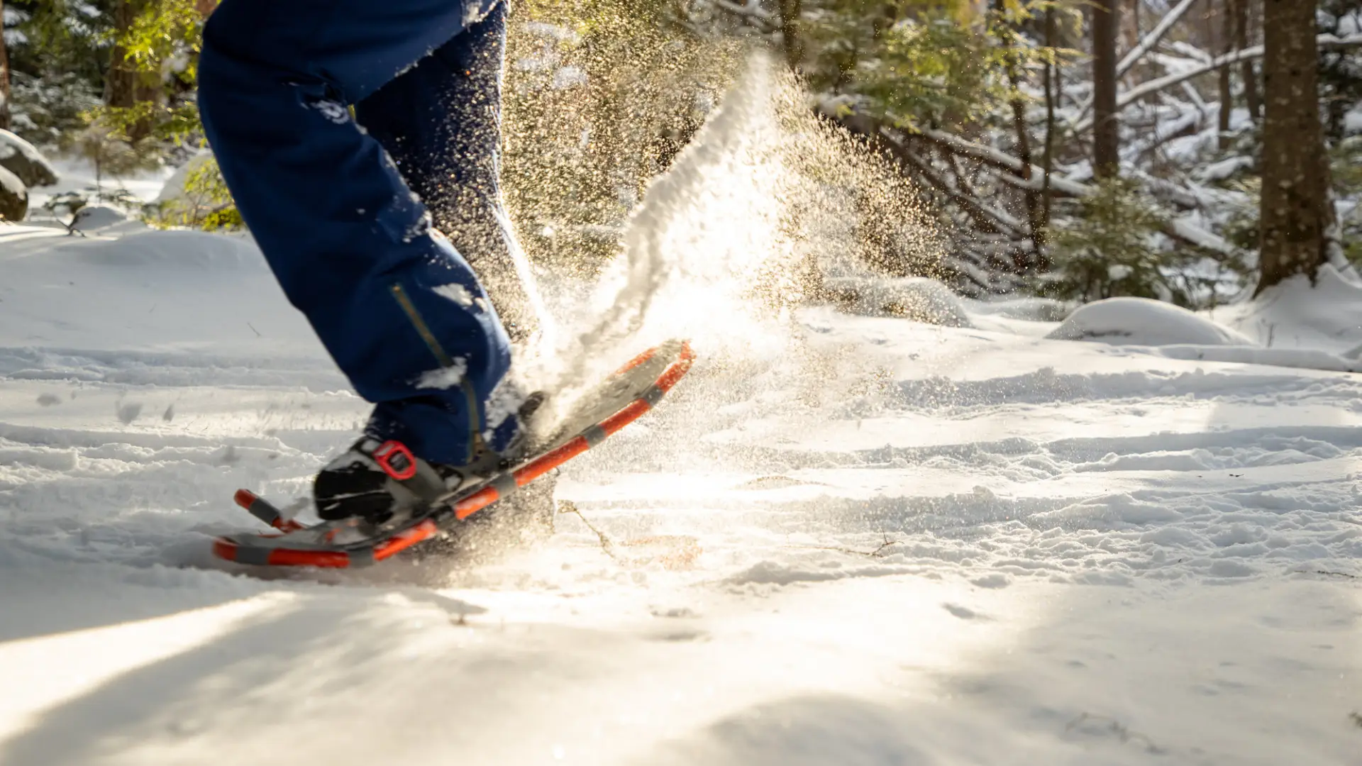 The close-up of a snowshoers' snowshoes