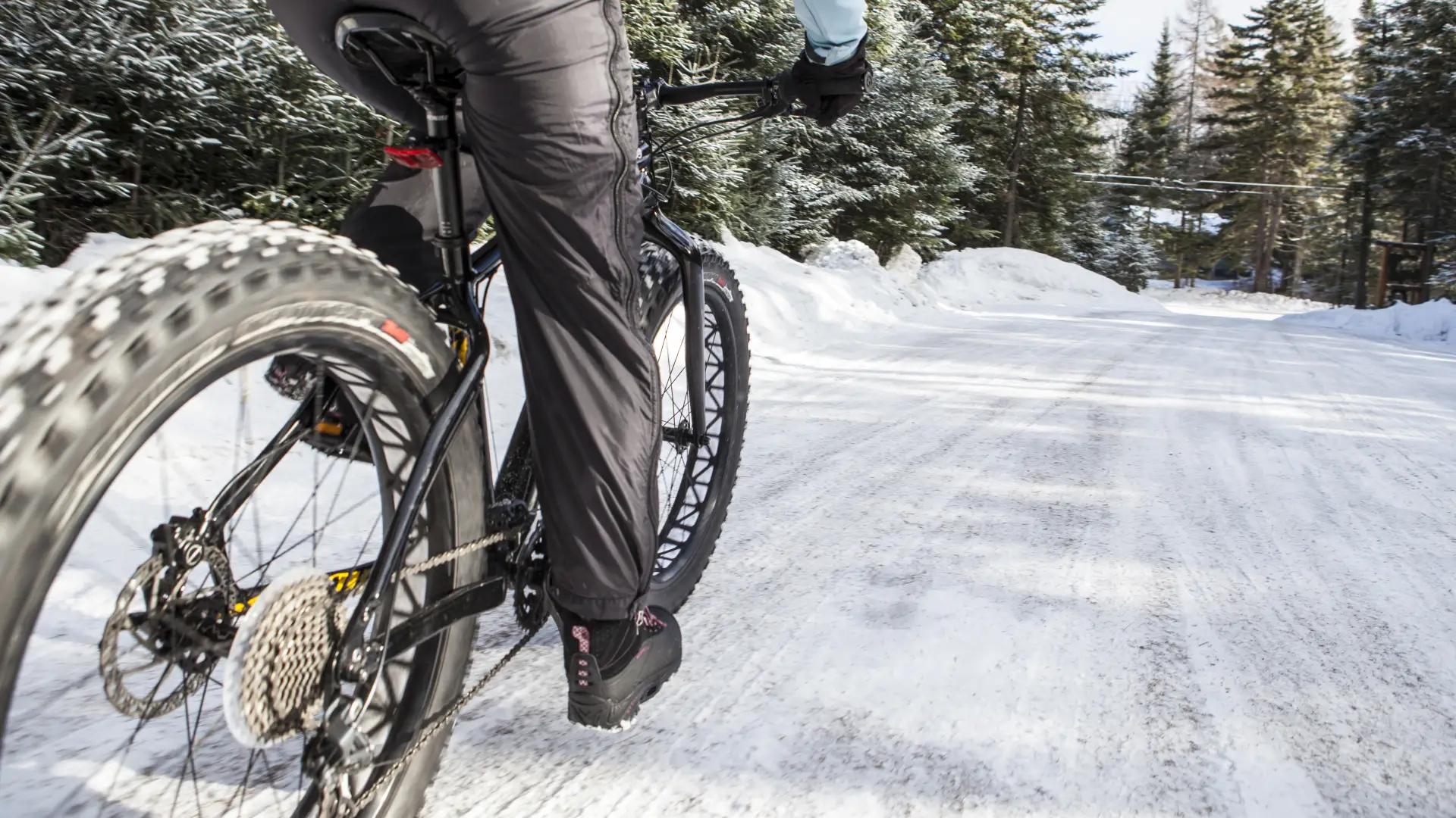 A person rides a fat tire bike down a snowy road