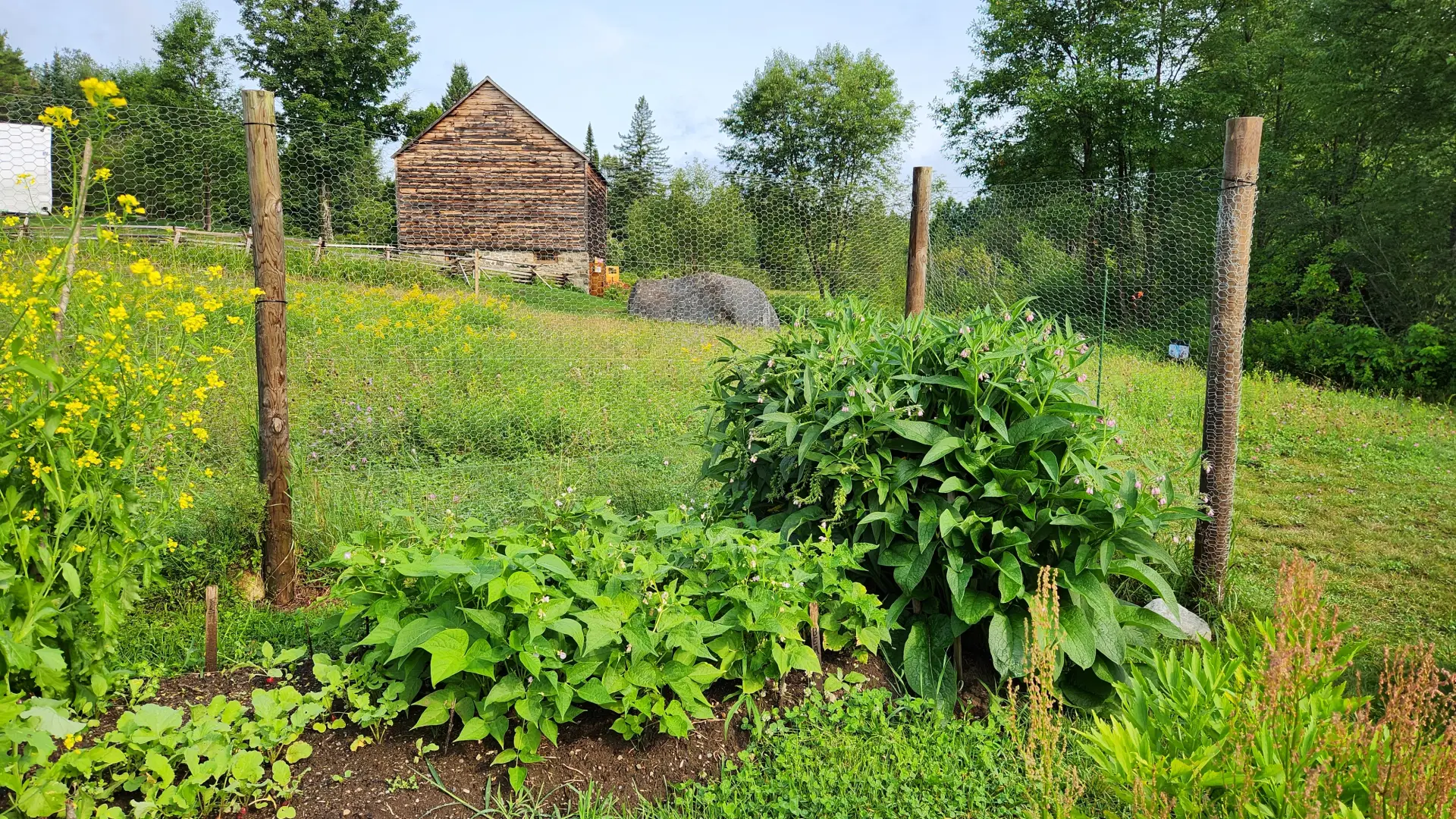 High-angle view of a garden with various plants, a barn, and a grassy hillside.