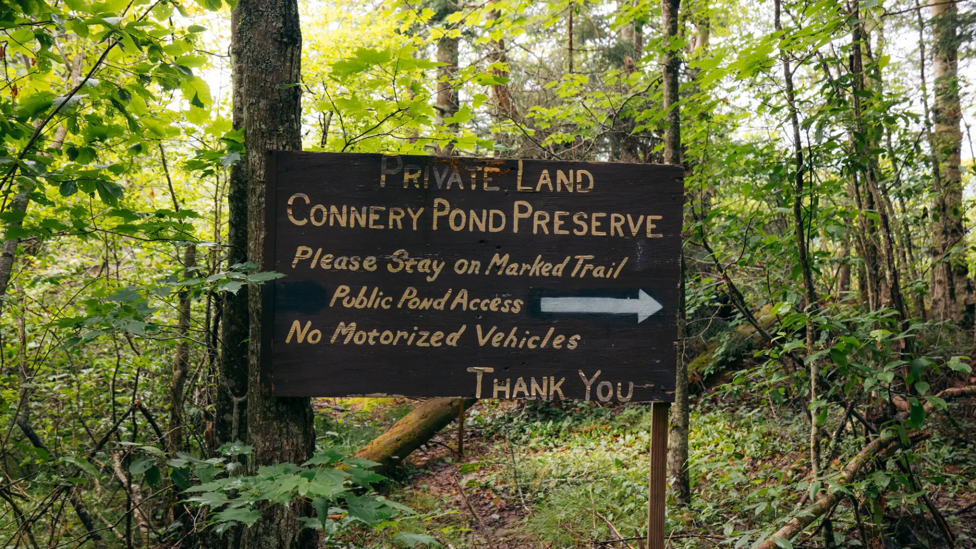 A wooden sign for Connery Pond Preserve