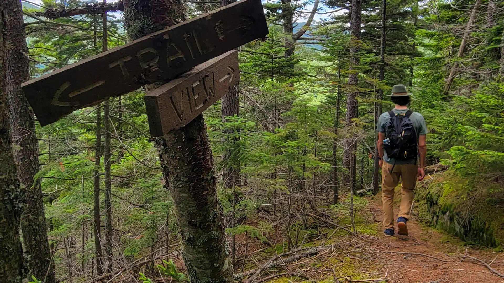 A hiker in front of a couple wooden signs