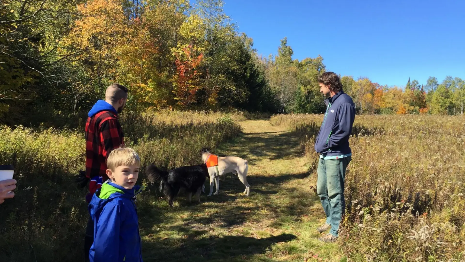 Kids&#44; dogs&#44; fields&#44; views... awesome!