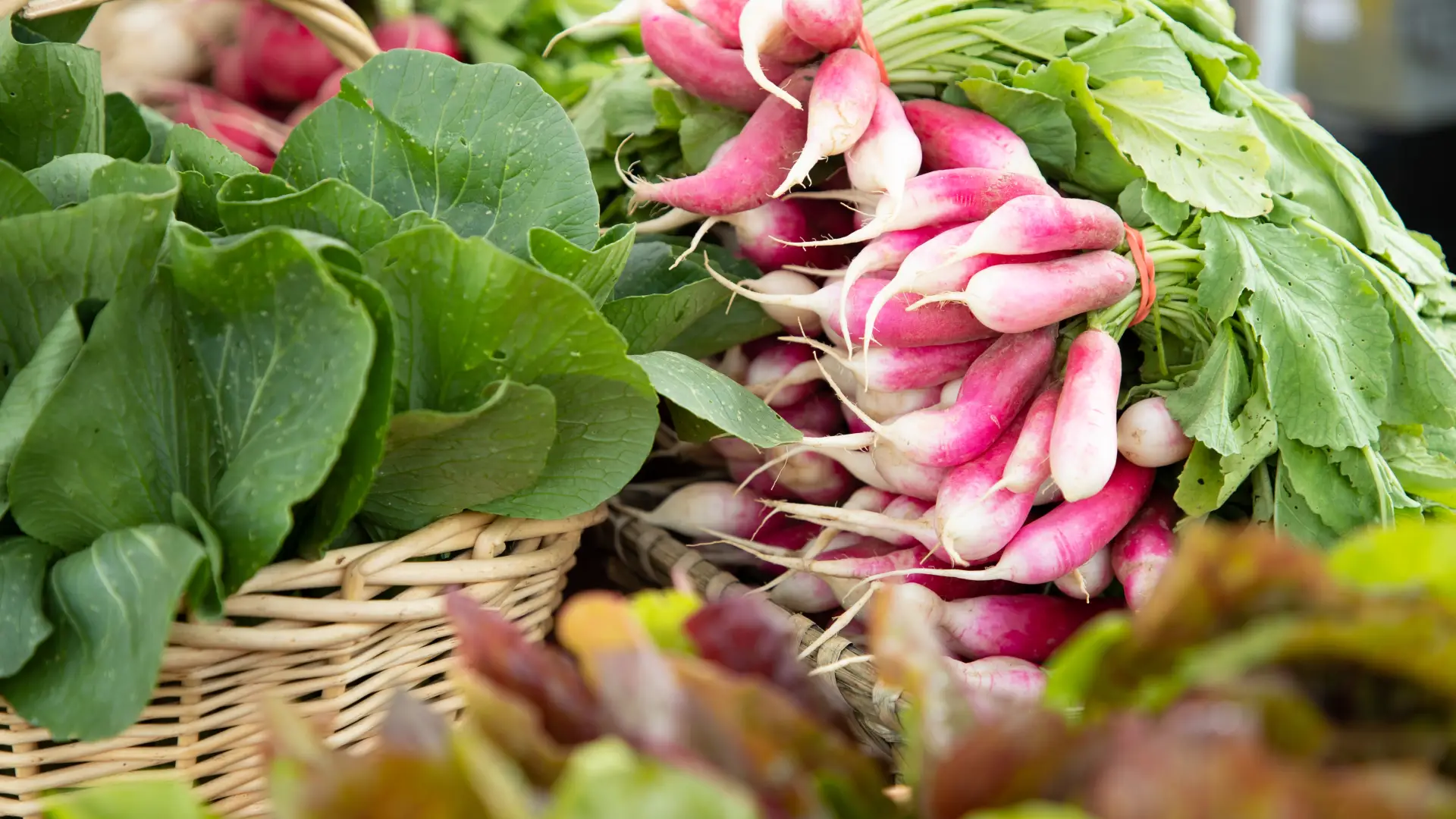Yes, the Adirondacks have local farms.