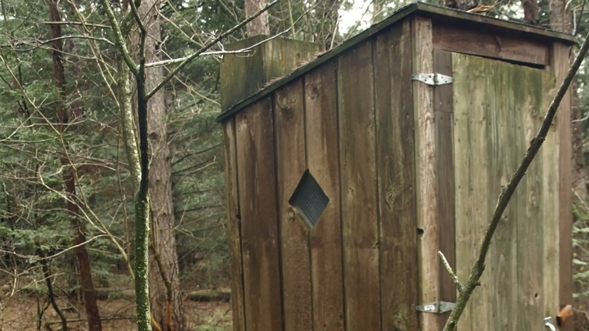 More amenities than you might expect.