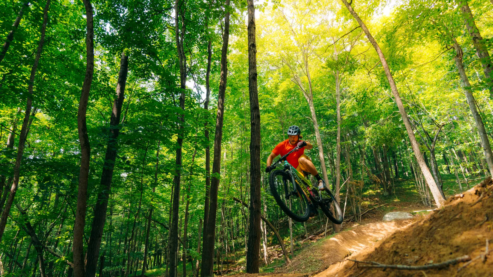 Mountain biker in red shirt rides bike off jump on dirt trail in green forest