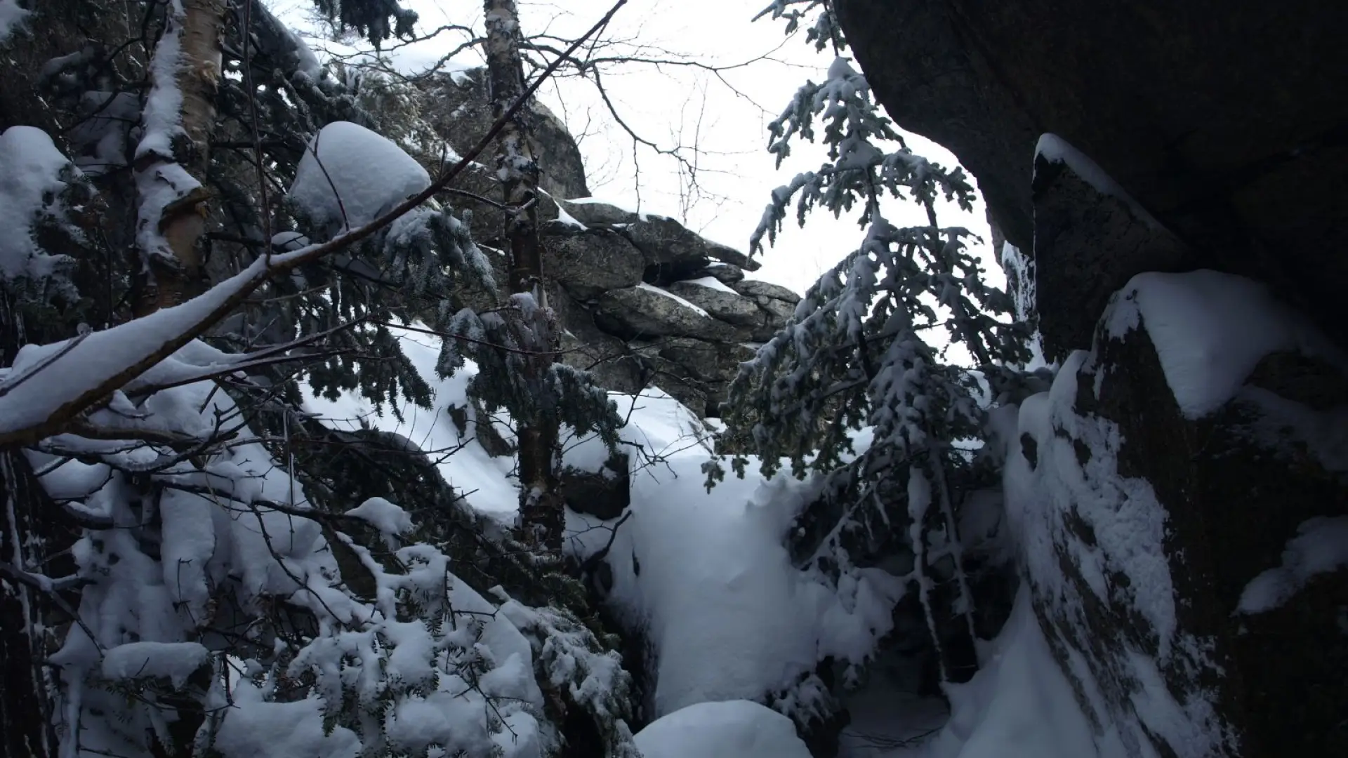 The trees kept closing in on us