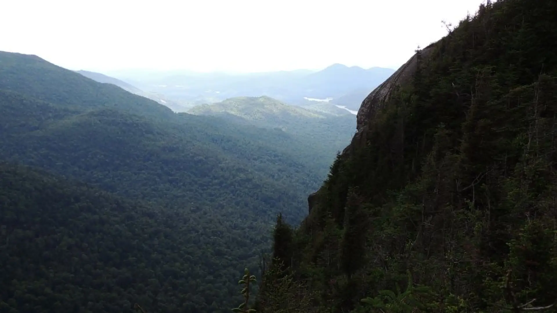Our secondary view