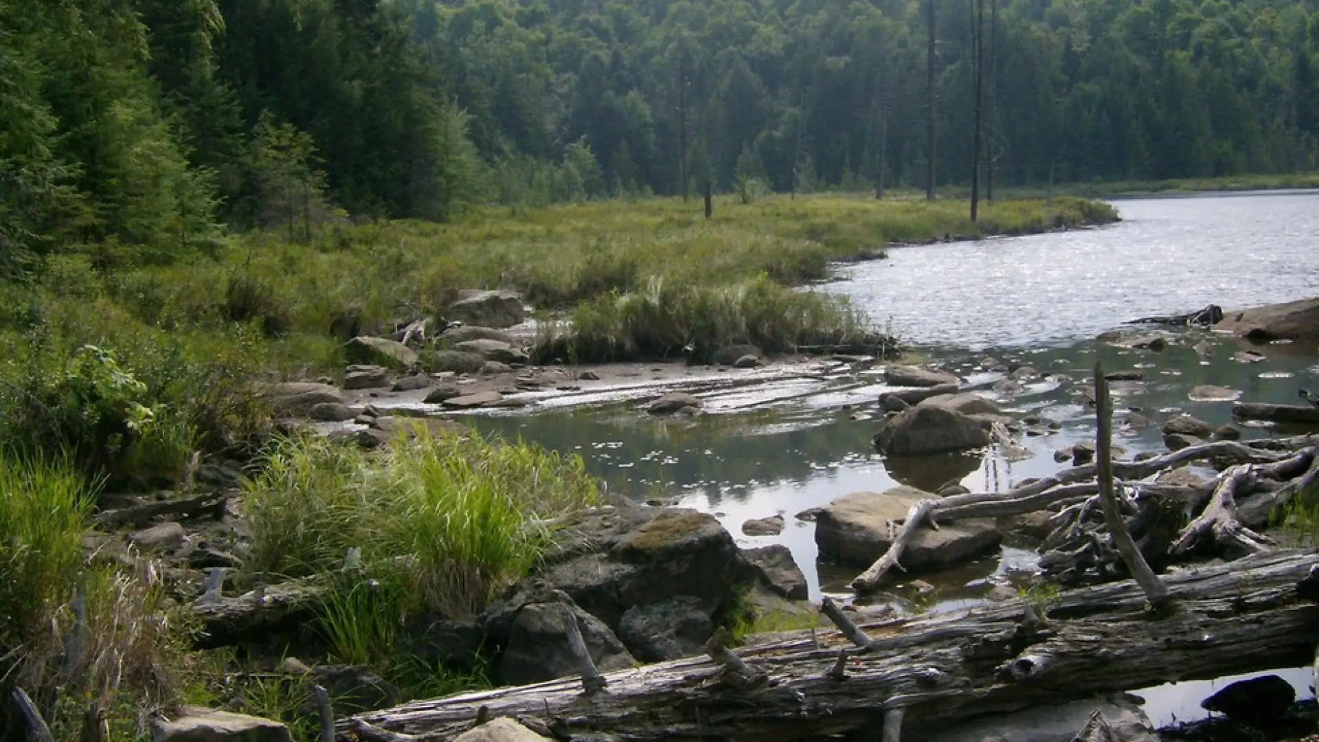 Tom Peck Pond has an interesting shoreline for paddling or fishing.