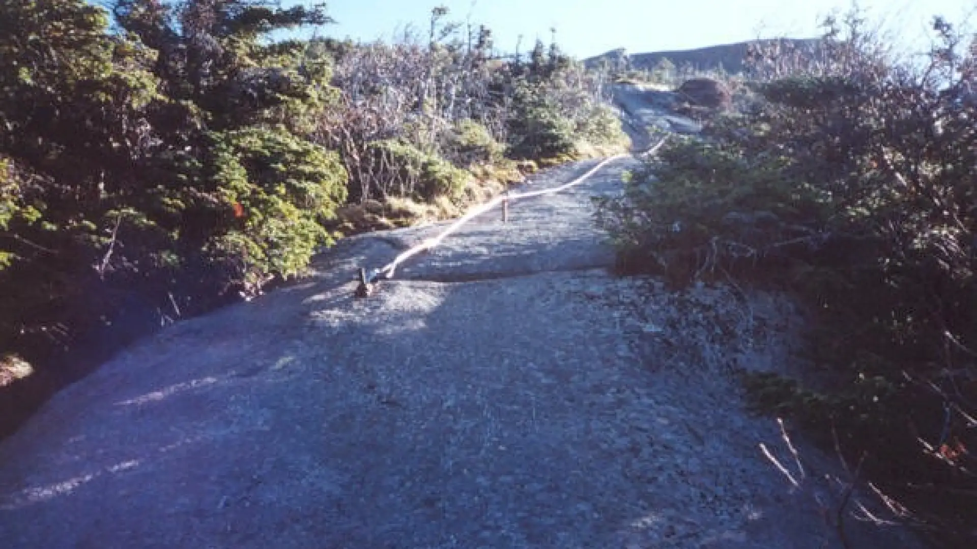 Use the cables other hikers have left for you.