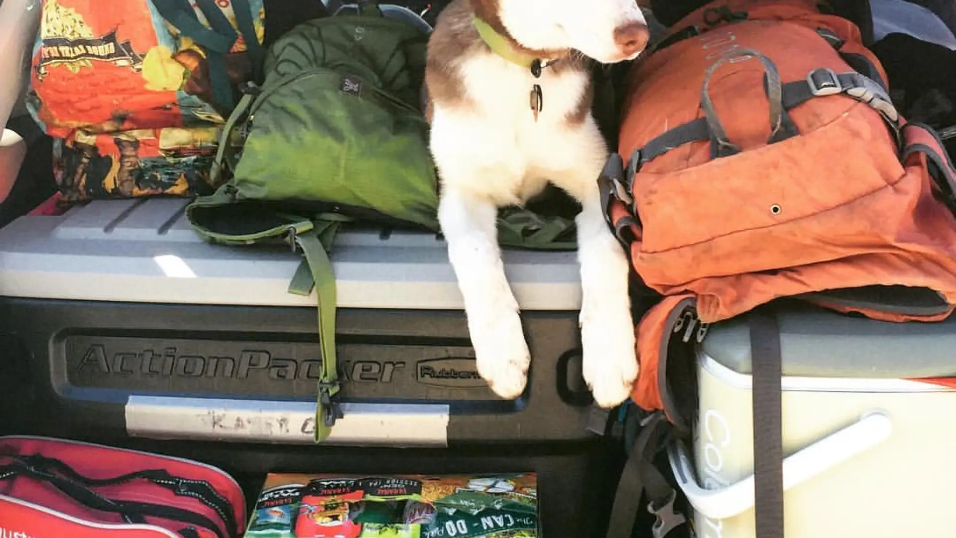Shoka double checking that the car was packed.