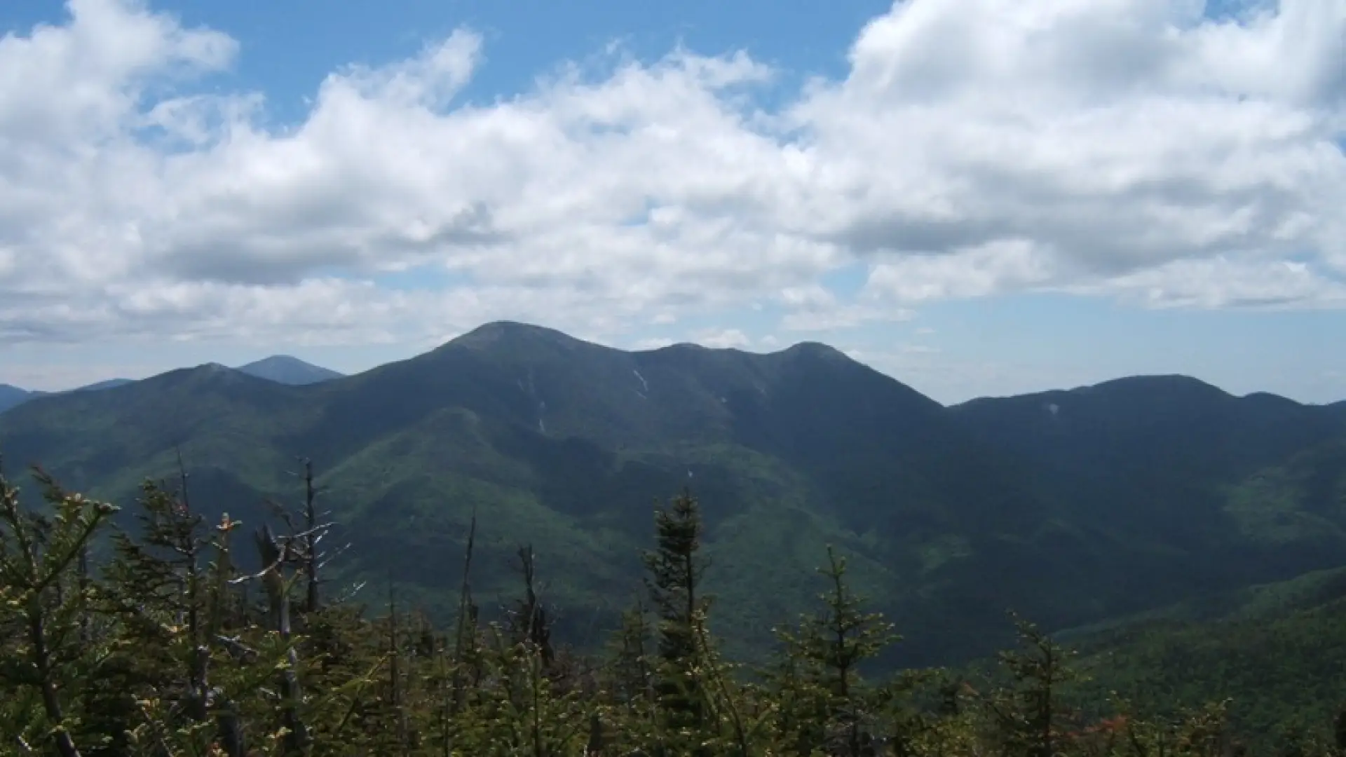 A view of tree-covered mountains from a summit