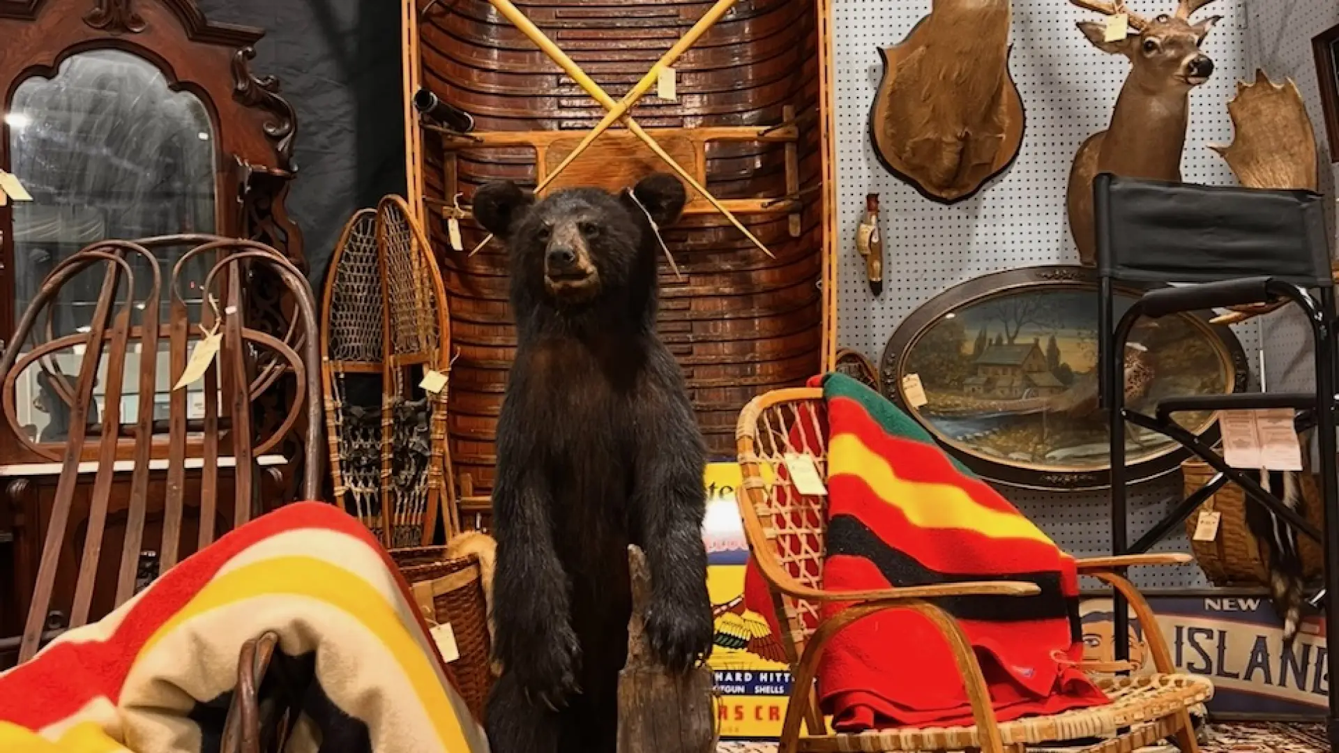 Bear Antiques