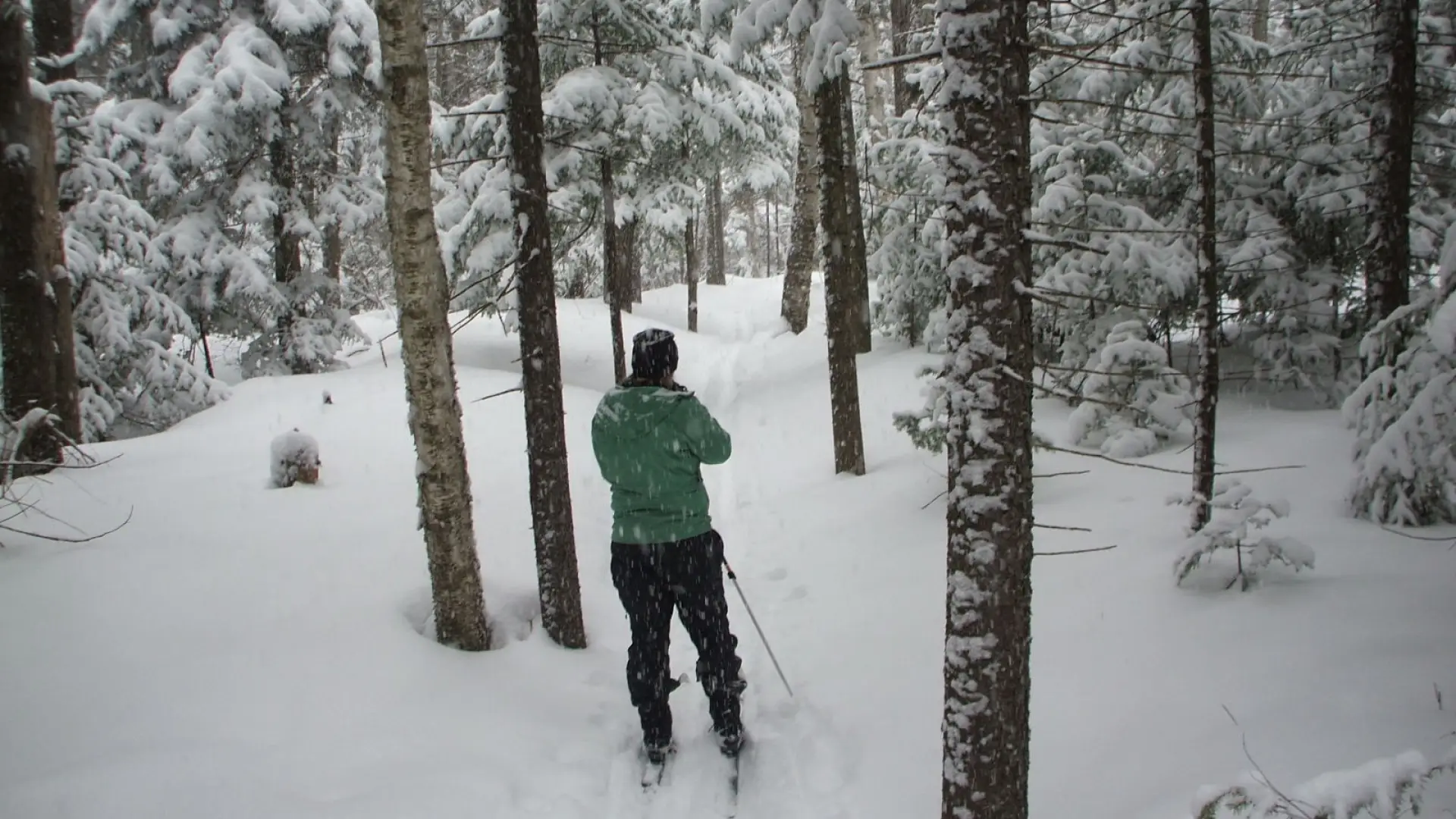 A cross-country skier on the Peninsula Trails covered in snow