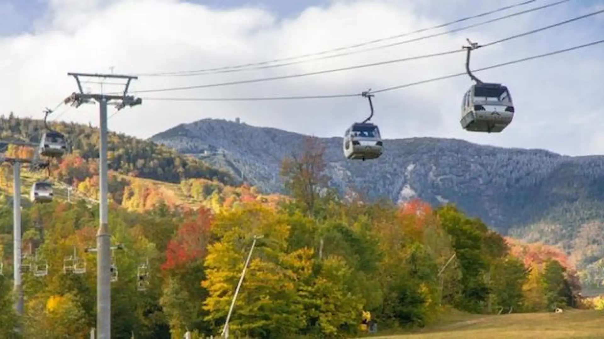 Cruise above the leaves with a 360 degree view.