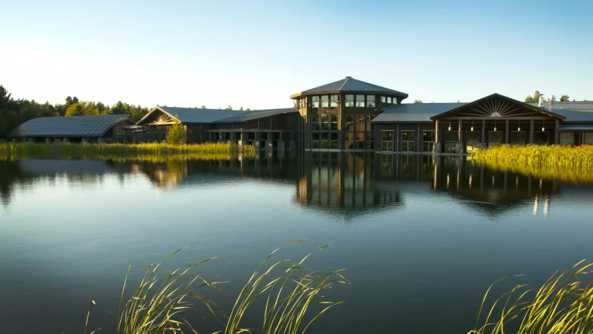 Tupper Lake's Natural History Museum, The Wild Center