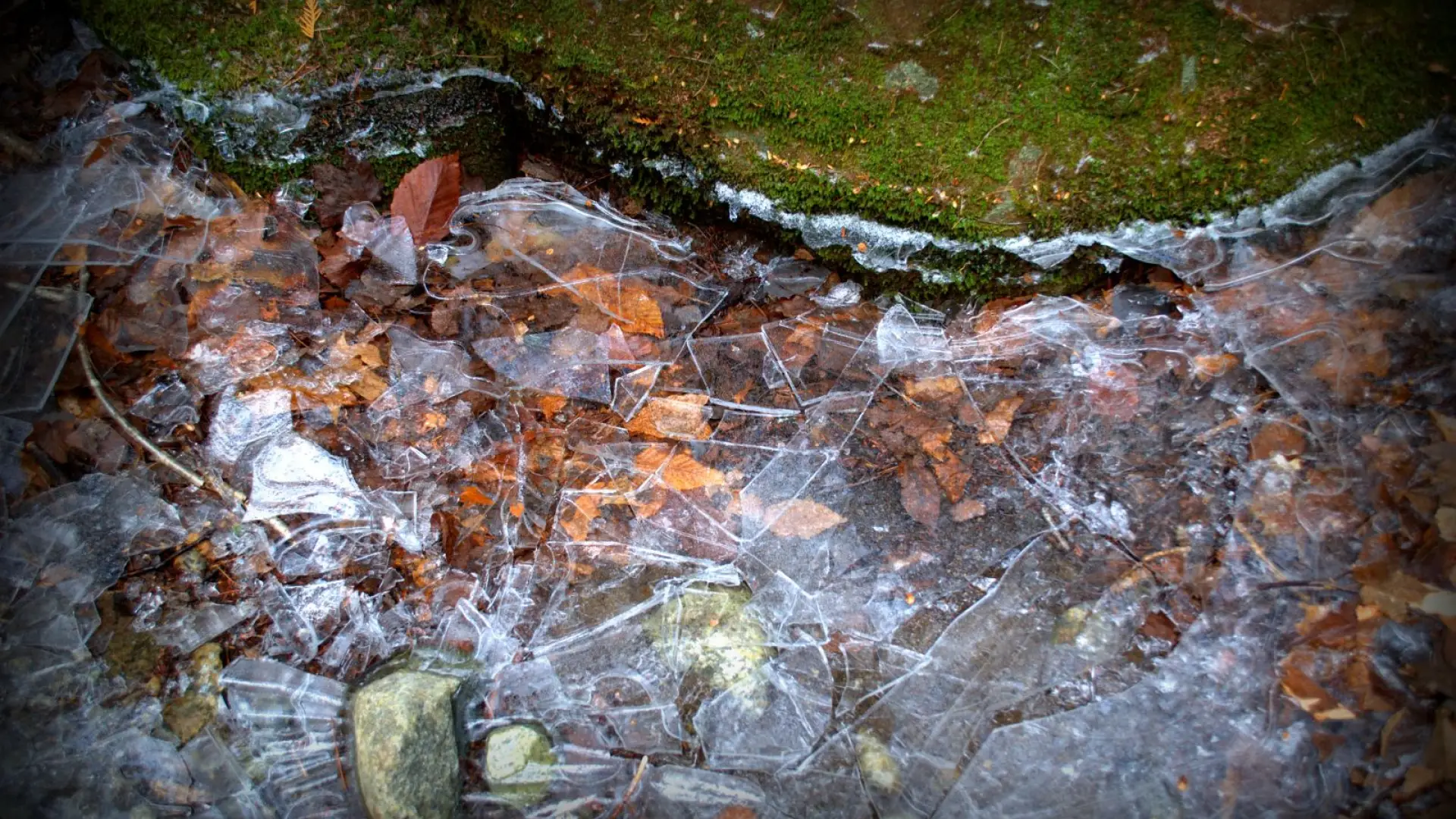 Smashed ice sheets