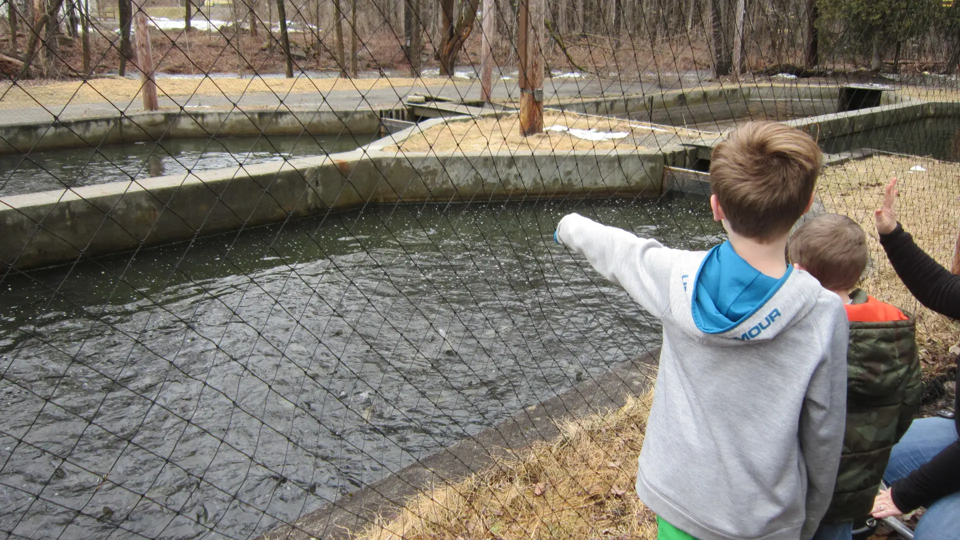 Children love to visit.