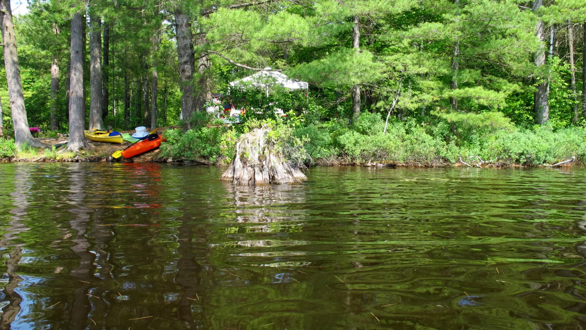 Buck Pond is a popular campground, so book early!