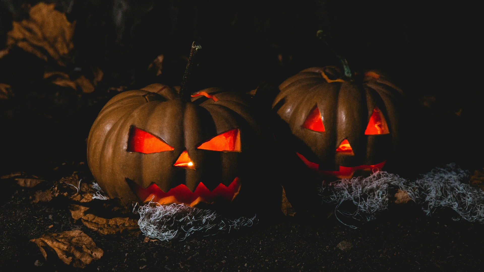 Stock image of two lit jack-o-lanterns inthe dark