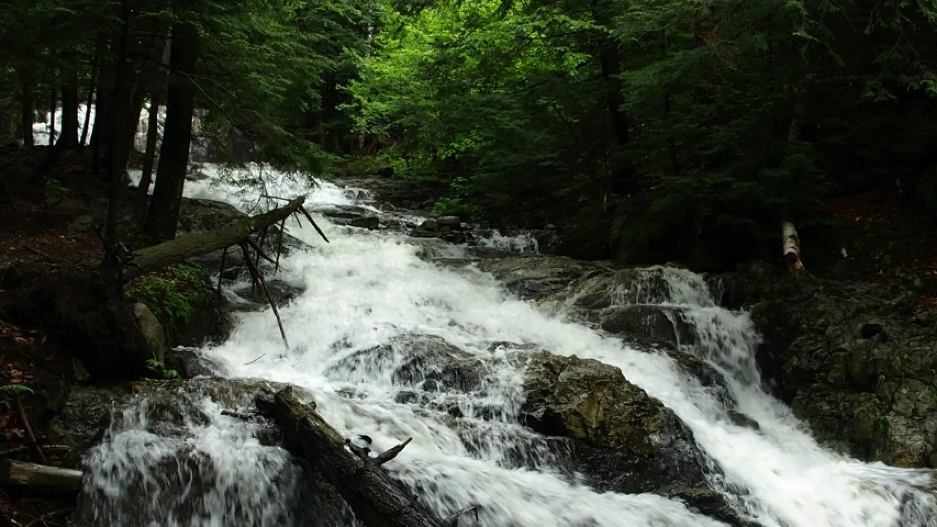 A cascading section of water