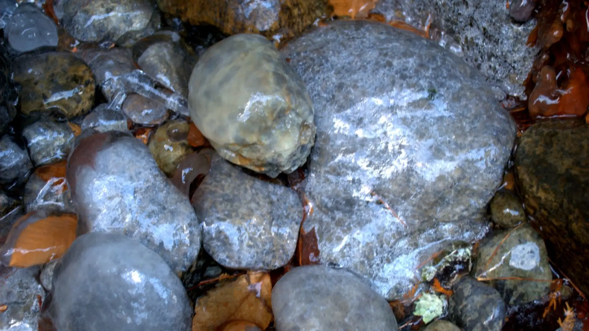 Stepping Stones