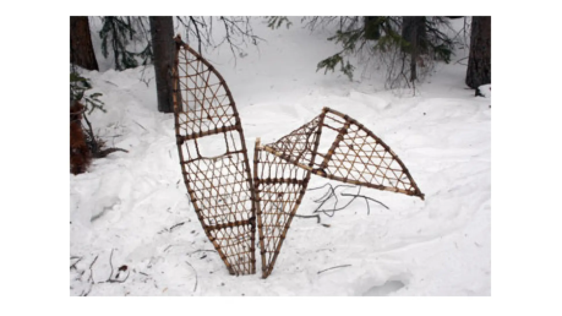 Snowshoe Care