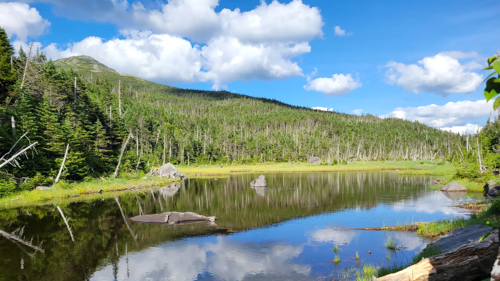 The view of a reflecting mountain pond