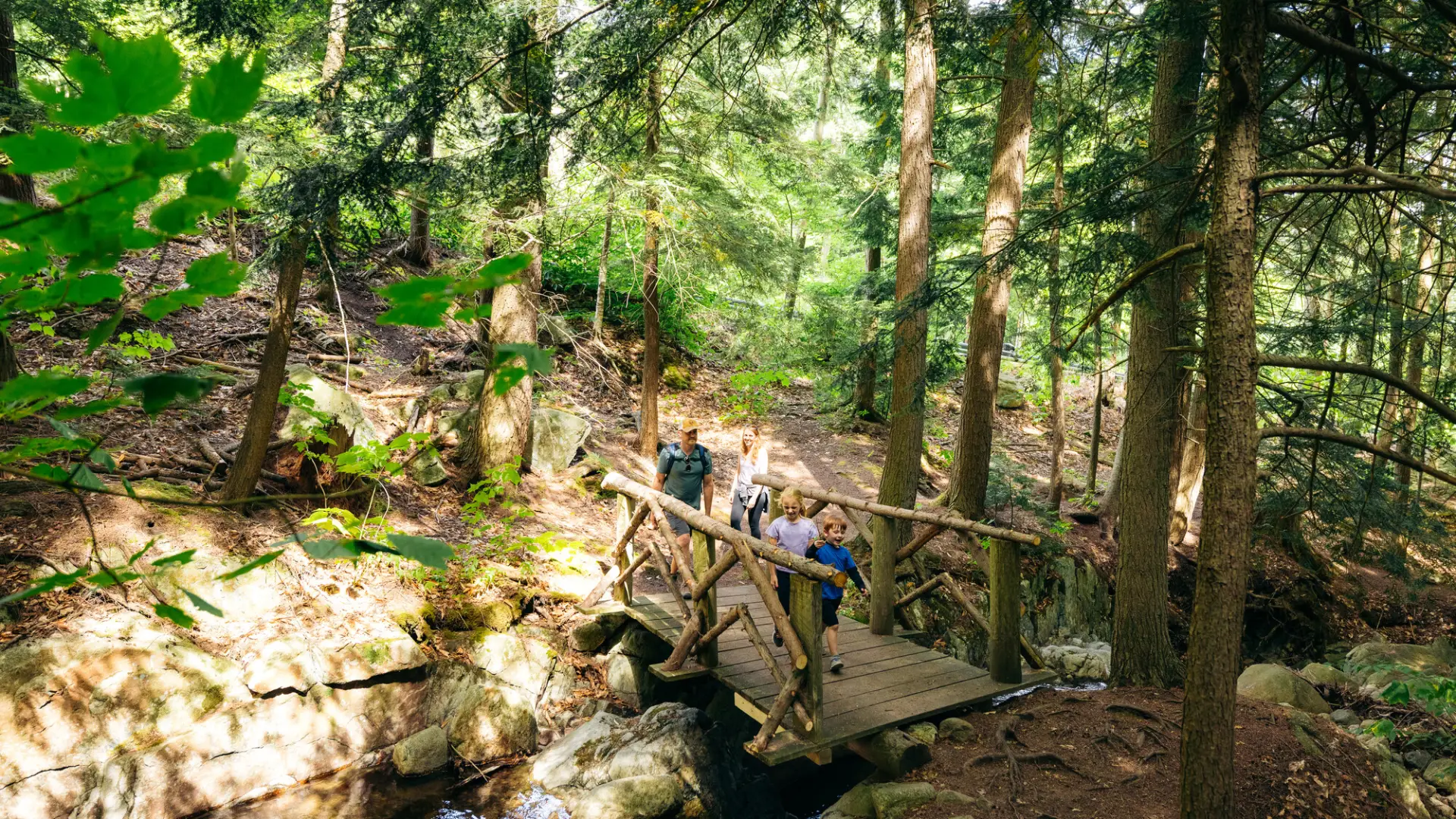 Family crossing a bridge on a hike