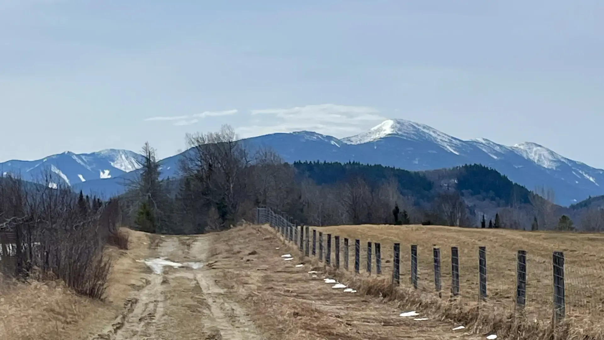 A trail leading to a blue  mountain range against an overcast sky.