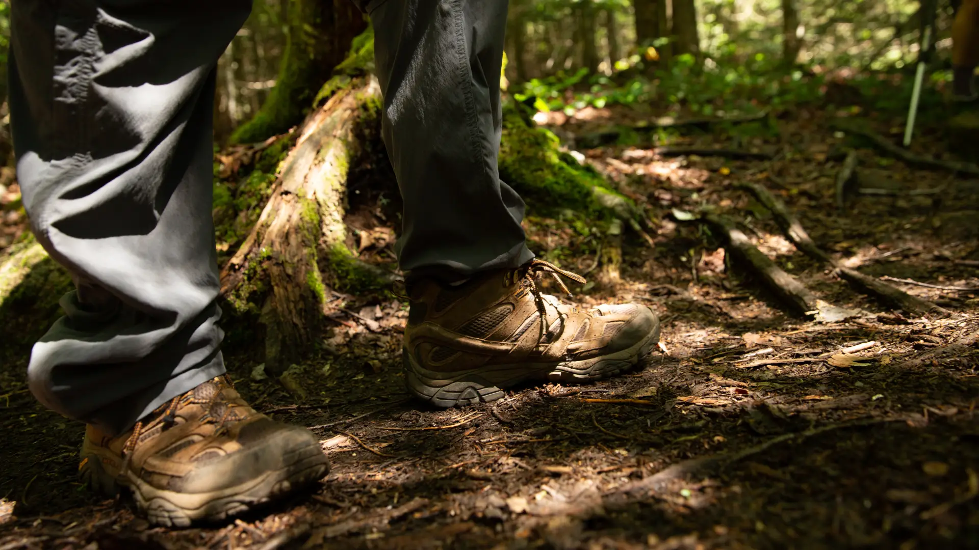 Hiking boots in the Adirondack forest.
