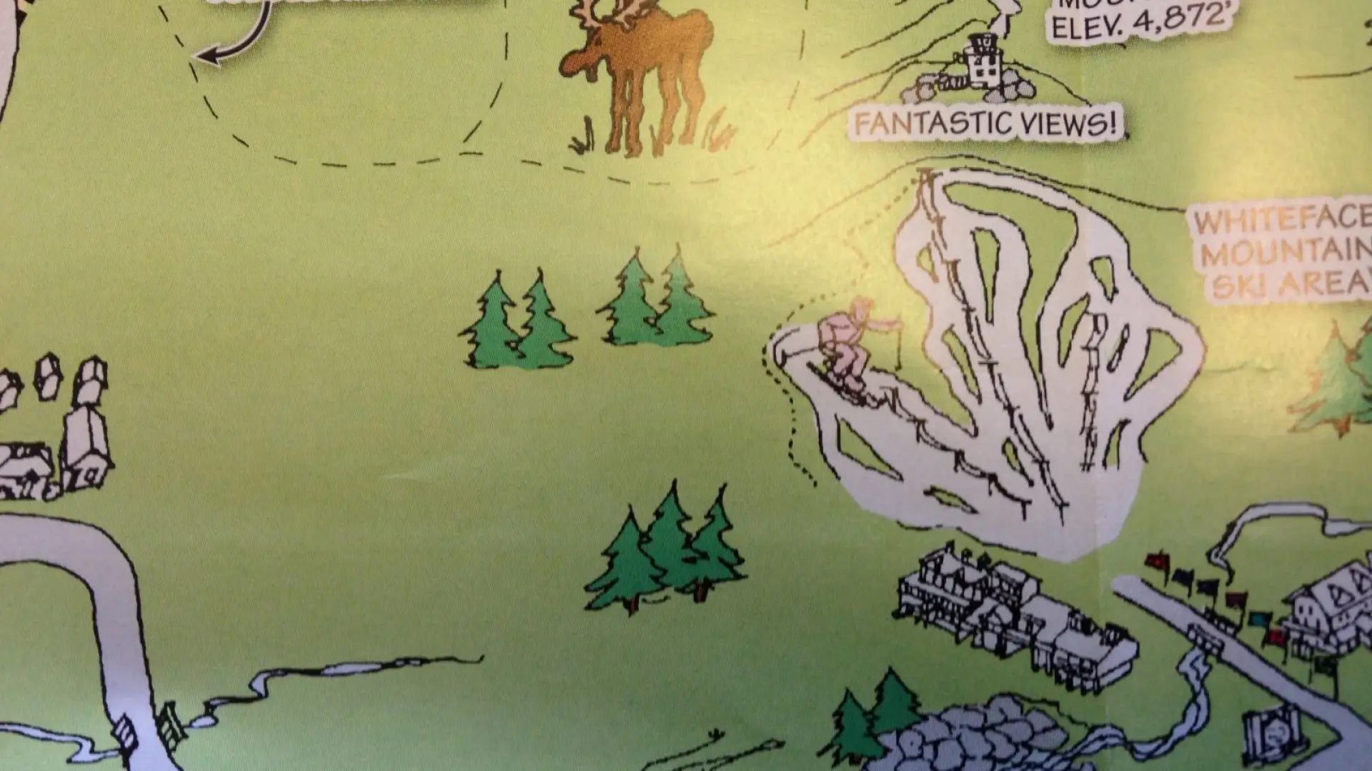 Note to self: not everything you read is true. We do not keep a pet moose on Cobble Hill Trail. Or, if we do, I have never seen him!