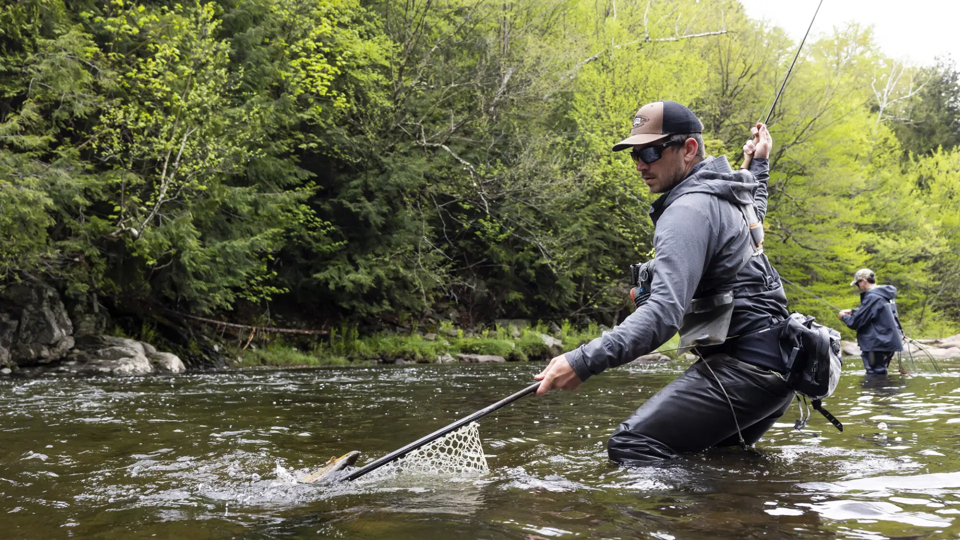 A fly fisherman in a gray hoodie and waders nets a fish in a river while another angler fishes in the background.