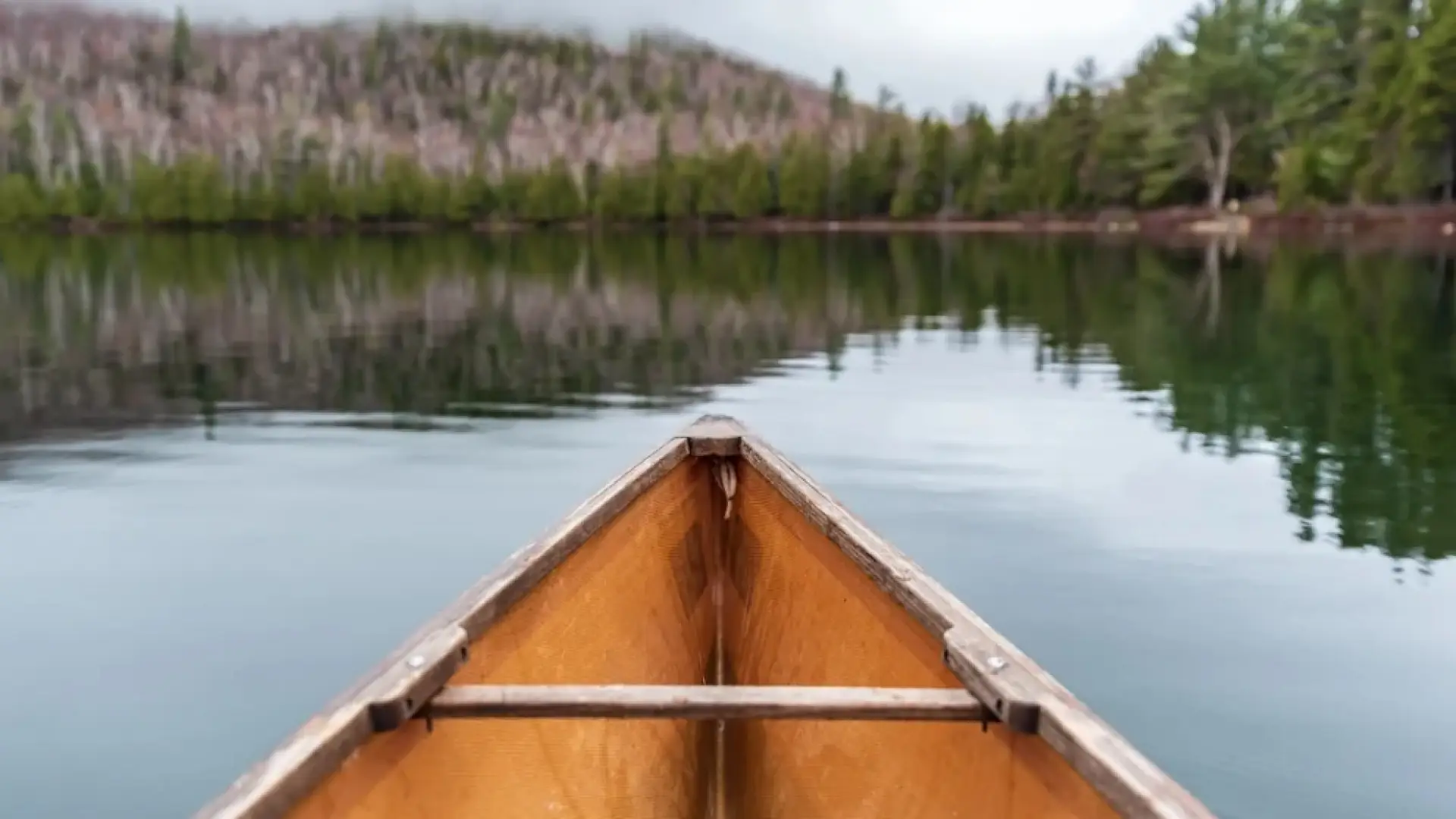 Wooden canoe front seen on calm lake with combination evergreen and deciduous forest on shoreline, with leaves off trees