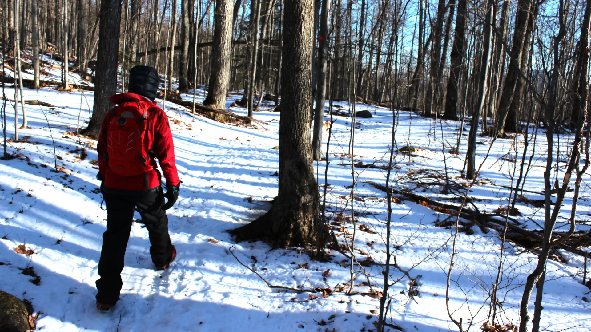 Bear Den Mountain is a fun shoe with scenery from different vantage points.