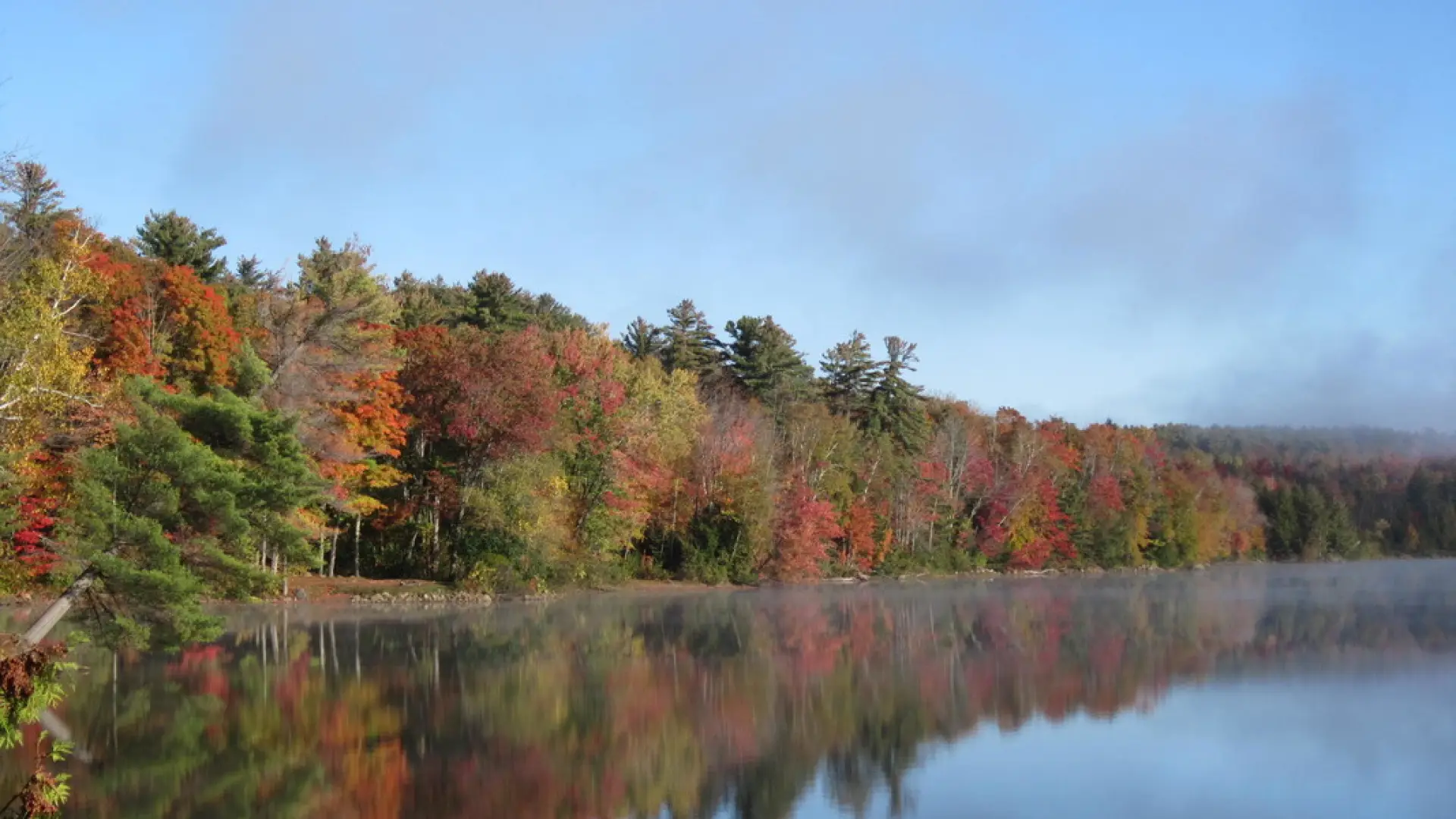 The silverly backdrop of trees whose leaves drop early only enhances the color of those still blazing in this shot of Lincoln Pond.